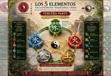Los Ciclos Generativo y Controlador de los 5 Elementos en “Acupuntura, el Arte de Fortalecer tu Salud” Diagrama de los 5 Elementos y sus Ciclos Generativo y Controlador en Medicina Tradicional China.