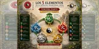 Los Ciclos Generativo y Controlador de los 5 Elementos en “Acupuntura, el Arte de Fortalecer tu Salud” Diagrama de los 5 Elementos y sus Ciclos Generativo y Controlador en Medicina Tradicional China.