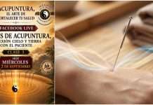 El secreto detrás del Qi y la conexión Cielo-Tierra en la acupuntura: Charla especial este miércoles Aguja de acupuntura representando la conexión energética entre el Cielo, la Tierra y el Qi.