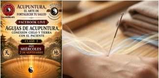 El secreto detrás del Qi y la conexión Cielo-Tierra en la acupuntura: Charla especial este miércoles Aguja de acupuntura representando la conexión energética entre el Cielo, la Tierra y el Qi.