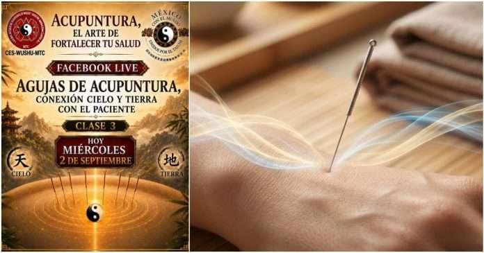 El secreto detrás del Qi y la conexión Cielo Tierra en la acupuntura, Charla especial este miércoles Aguja de acupuntura representando la conexión energética entre el Cielo, la Tierra y el Qi.