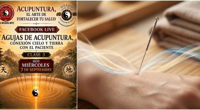 El secreto detrás del Qi y la conexión Cielo-Tierra en la acupuntura: Charla especial este miércoles Aguja de acupuntura representando la conexión energética entre el Cielo, la Tierra y el Qi.