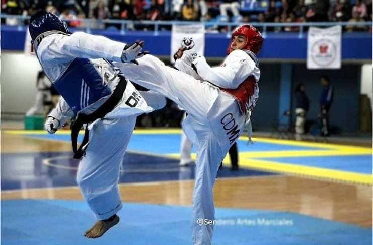 ¡Poder, Honor y Tradición! El Mundo Celebra el Día Internacional del Taekwondo Atletas celebrando y compitiendo en el Día Internacional del Taekwondo.