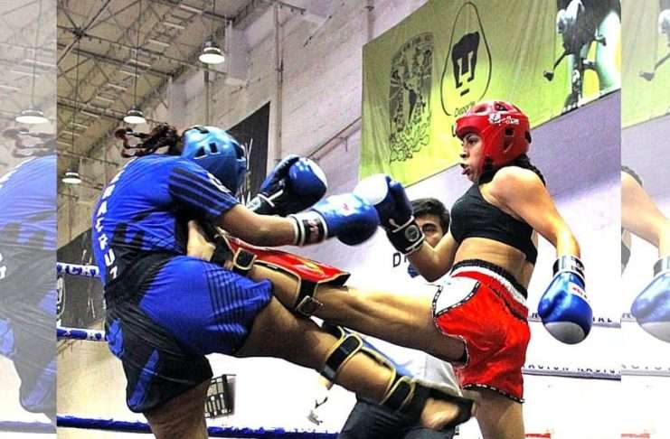 Arrancó el Histórico Campeonato Nacional de Kickboxing 2026 en el Frontón Cerrado de la UNAM Inicio del Campeonato Nacional de Kickboxing 2026 de la FENAKIB en el Frontón Cerrado de la UNAM.