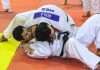 La Selección Mexicana de Judo Intensifica Preparación Rumbo a Querétaro y Los Ángeles 2028